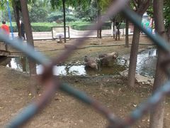 -陕西自然博物馆