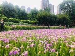 -龙头寺公园