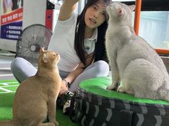 -AK健身普拉提拉伸私教馆(中八店)