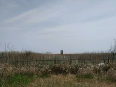 -盐城丹顶鹤湿地生态旅游区