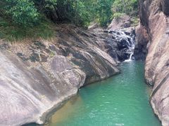 -广州白江湖森林公园