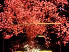 -索拉古贝(义乌北苑店)