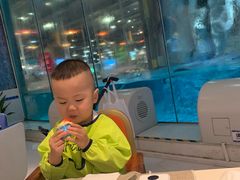 -帝企鹅自助餐厅•儿童岛•真企鹅(长隆企鹅酒店)