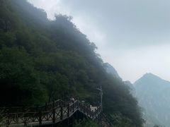 -狼牙山风景区
