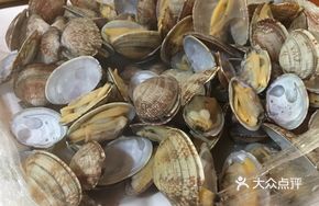 Microwave Clams