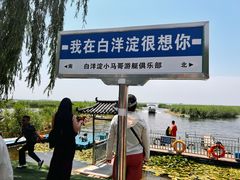 -白洋淀景区