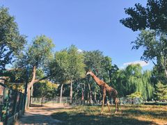 景点-北京动物园