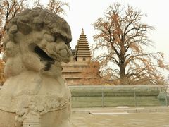 -北京石刻艺术博物馆(五塔寺)