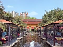 -鹅公村·国家非遗传承(荔湾店)