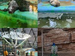 -青藏高原野生动物园