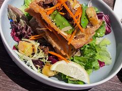 -bluefrog蓝蛙(石家庄欢乐汇店)