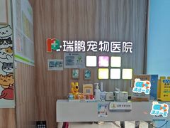-瑞鹏宠物医院·内科·中兽医·骨科(苗圃店)
