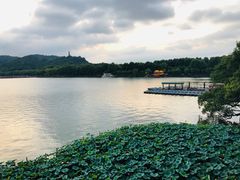 -湖畔居茶楼(湖滨店)