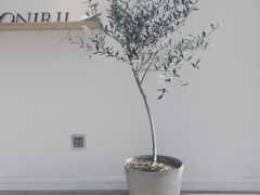 -Onirii Coffee(长乐路店)
