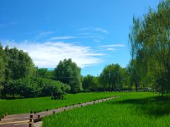 -北坞公园