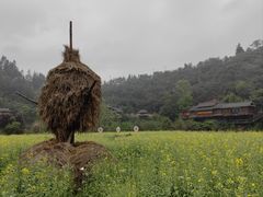 -程阳八寨景区