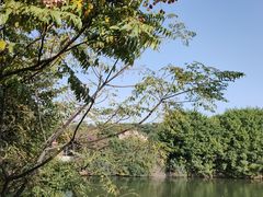 -五缘湾湿地公园