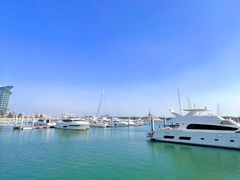 -巧克力渔家.小船海鲜胶东菜(万平口店)