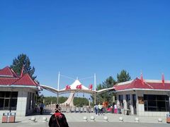-红碱淖景区