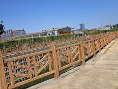 -光明小镇欢乐田园