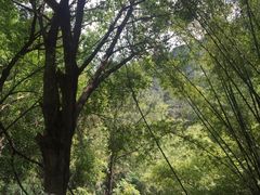 -大雁山风景区