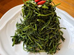 清香枸杞苗-国强手抓(北京西路店)