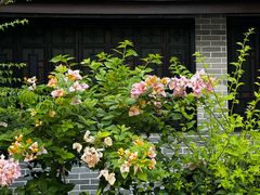 -顺德渔村·岭南一号