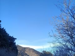 -北京西山国家森林公园