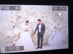 -百万葵园