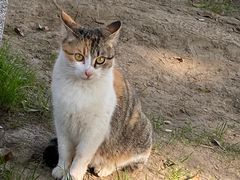 -狼山风景名胜区