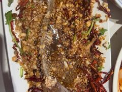 -杨氏青龙虾·羊蝎子(托乐嘉店)