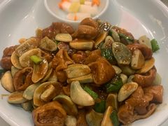 -八珍饺子·烤鸭·家常菜