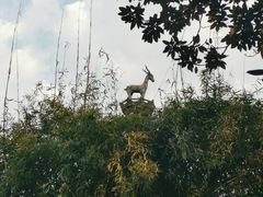 -豫园