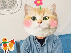-崇海汽渡临永渡口