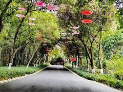-桃花涧