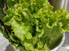 -韩时烤肉(丰科万达广场店)