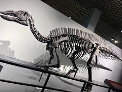 -大连自然博物馆