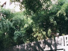 -杭州逸酒店(西湖武林店)