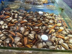 -张树军海鲜(王府壹号店)