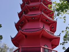 -惠山国家森林公园