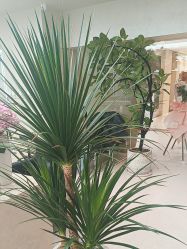 点击看大图 -DX HAIR SALON·发现未知美发沙龙