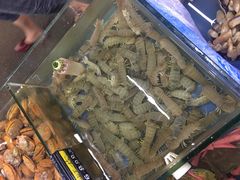 -明记海鲜大排档(巽寮湾店)