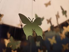 -蝴蝶里·粤菜·点心(滨江龙湖店)