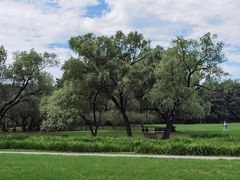 -上海共青森林公园