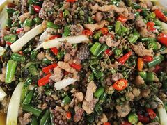 -铁山坪森林公园