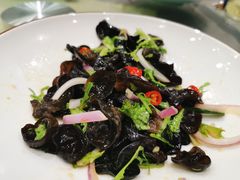 -邢家锅贴老店·非遗·开封菜(金明广场店)