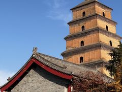 -福苗小骆驼烧烤(曲江店)