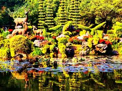 -杭州植物园
