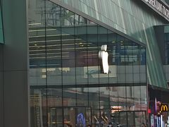 -Apple零售店(中街大悦城店)