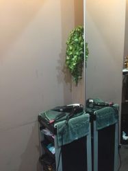 -史云逊养发中心